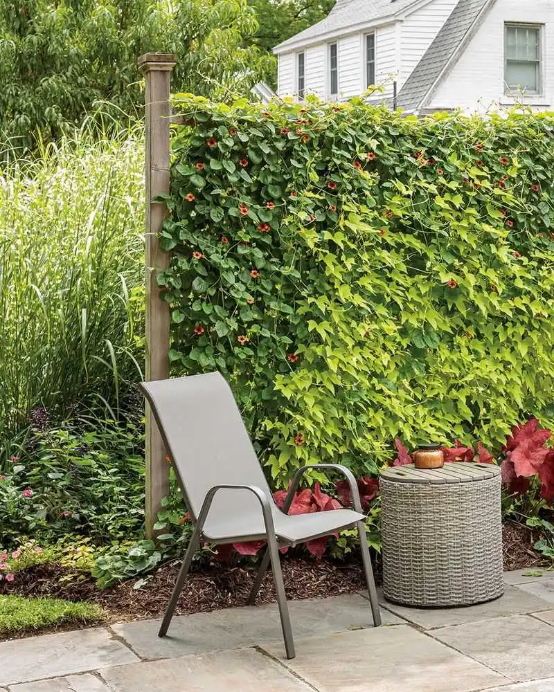 Chair Back Trellis