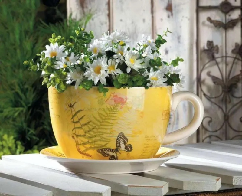 Chamomile