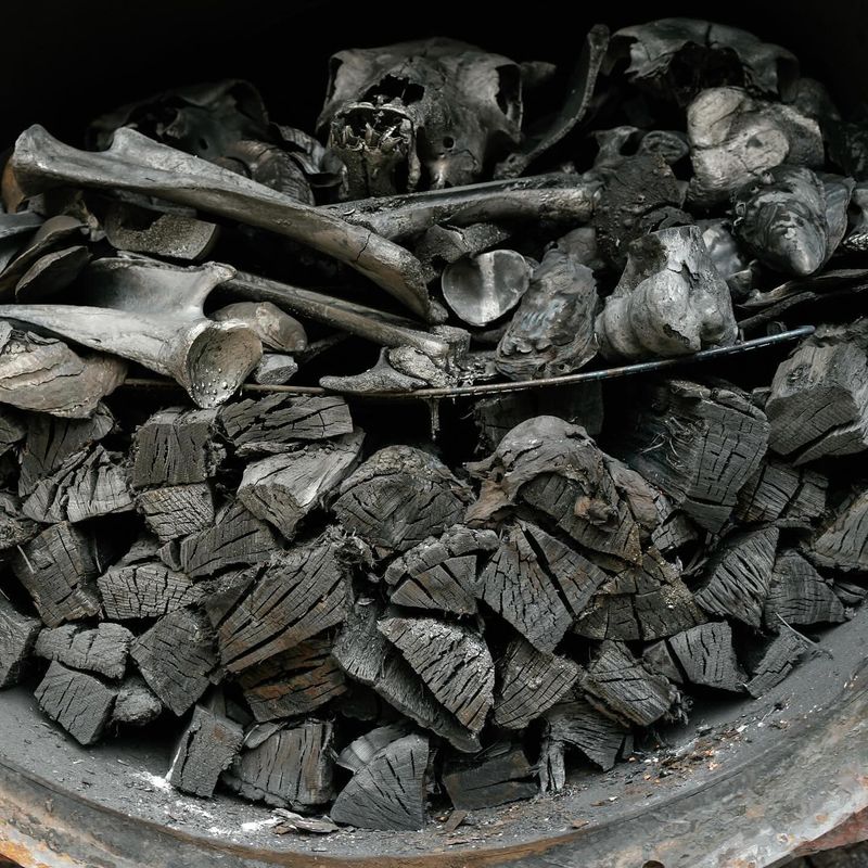 Charcoal