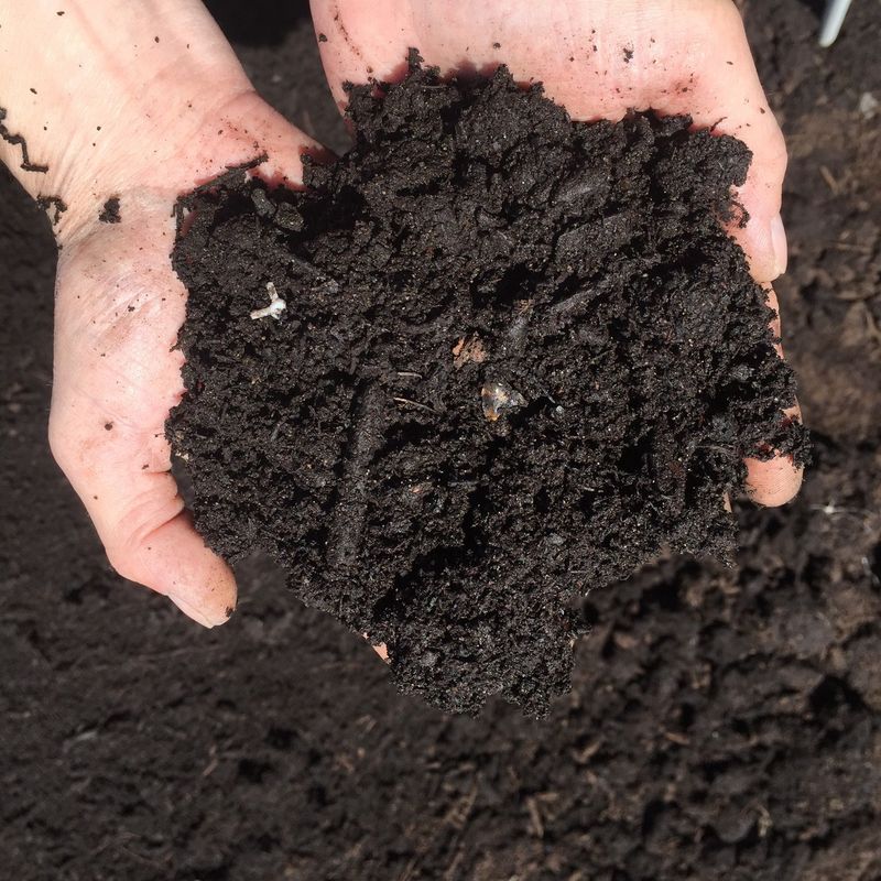 Chemical Fertilizers