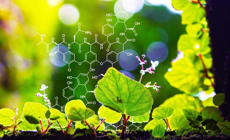 Chemical Signaling