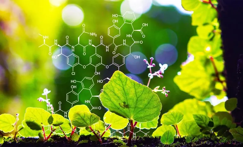 Chemical Signaling