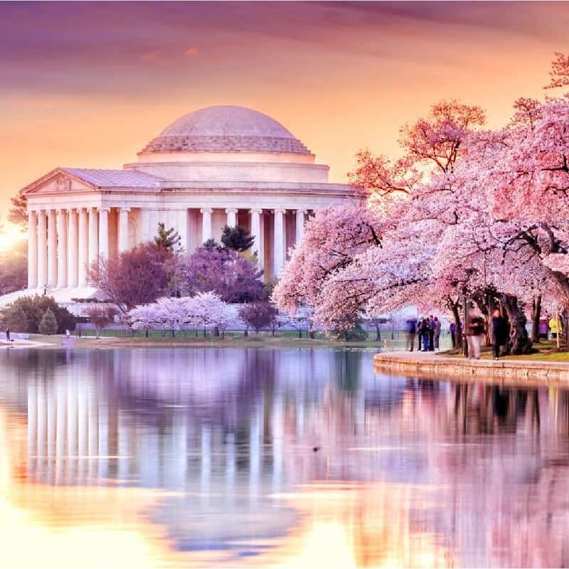 Cherry Blossom Festival, Washington D.C., USA