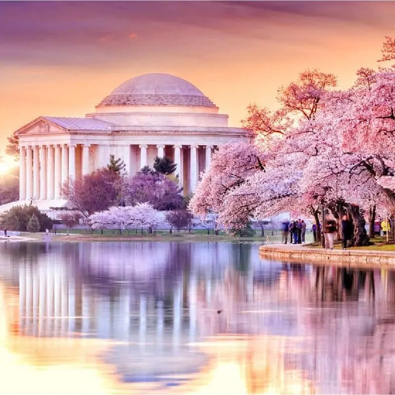 Cherry Blossom Festival, Washington D.C., USA