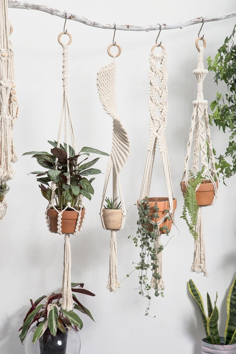 Chic Rope Plant Hangers
