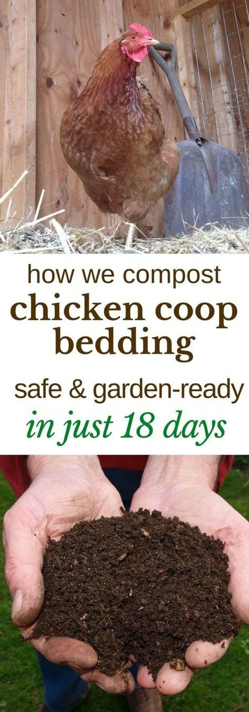 Chicken Manure
