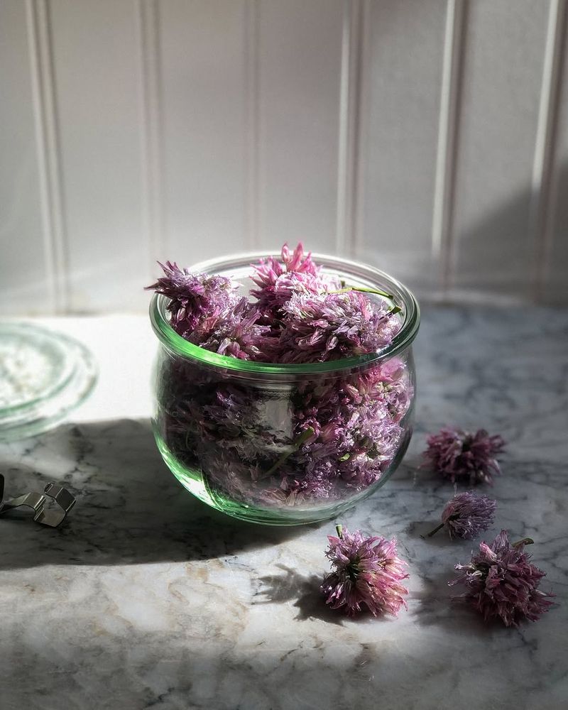 Chive Blossoms