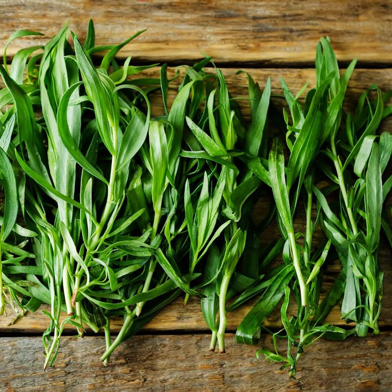 Tarragon