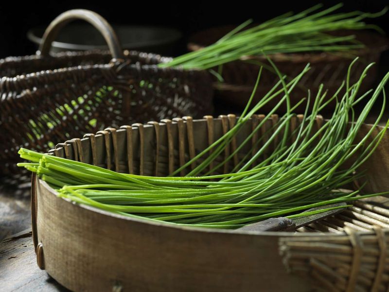 Chives