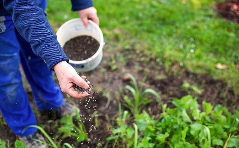 Choosing the Right Fertilizer