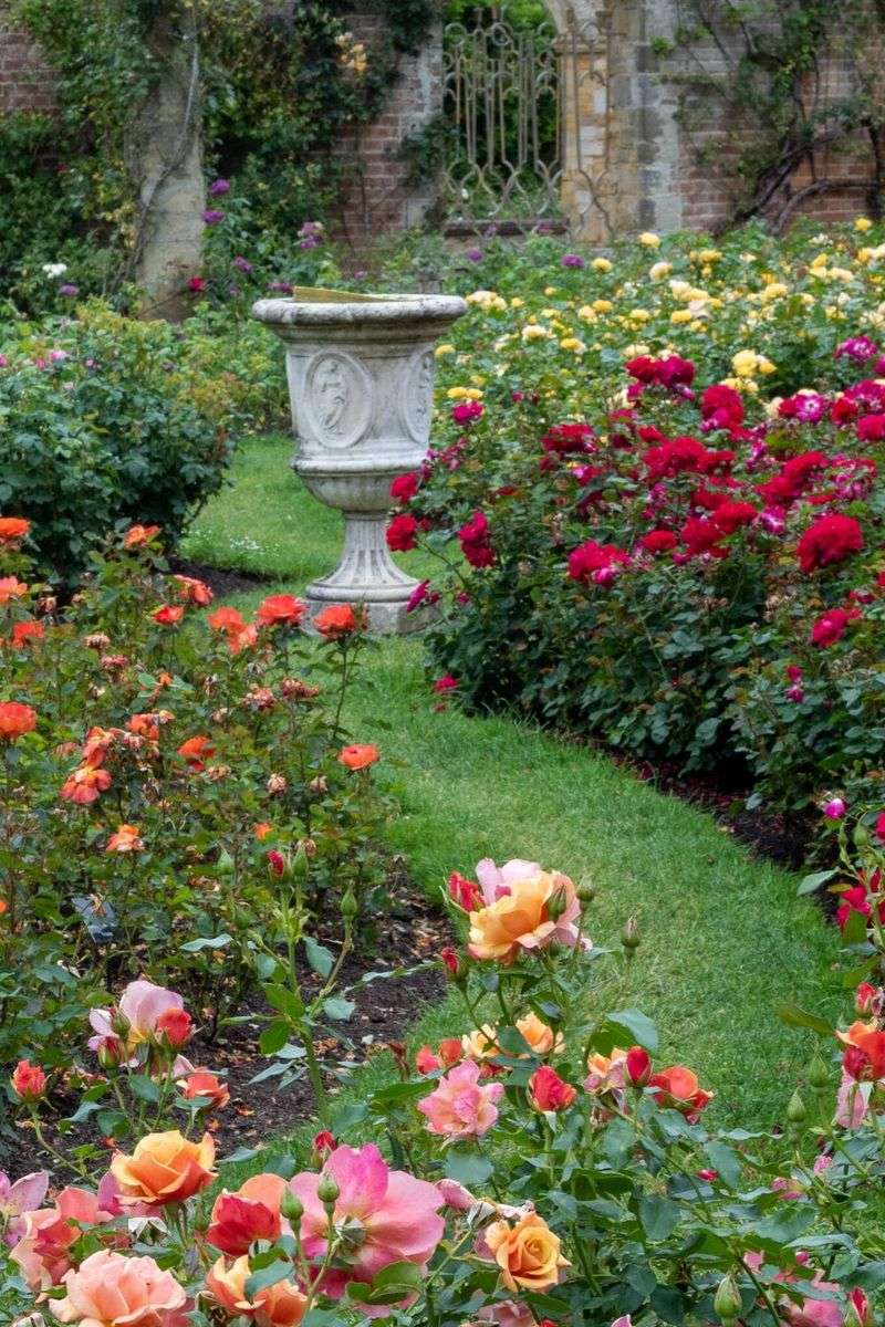 Choosing the Right Rose Varieties