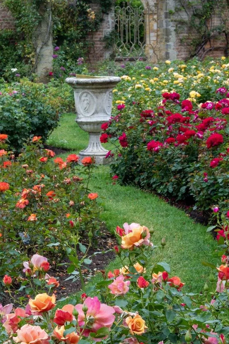 Choosing the Right Rose Varieties