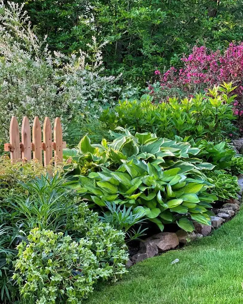 Choosing the Wrong Plants