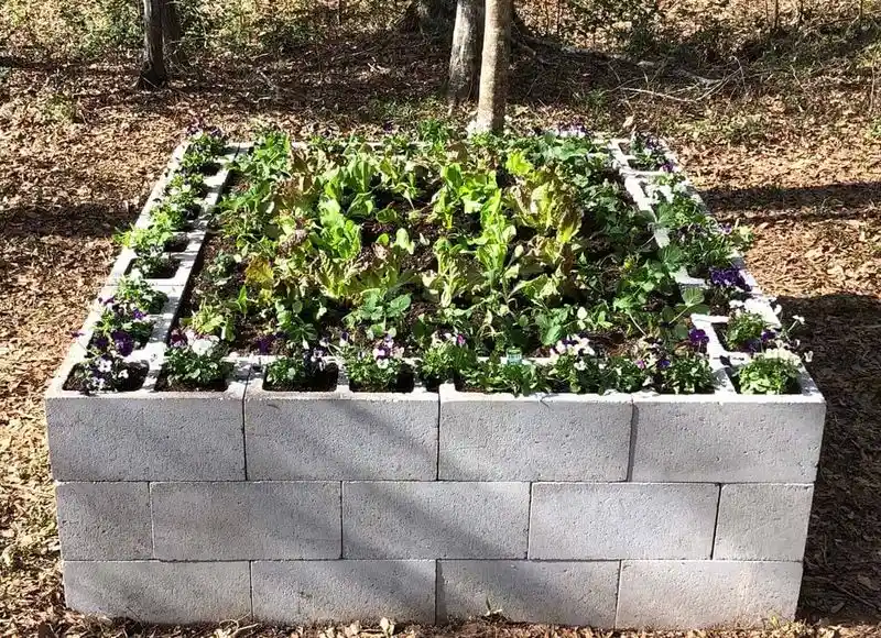 Cinder Block Beauty