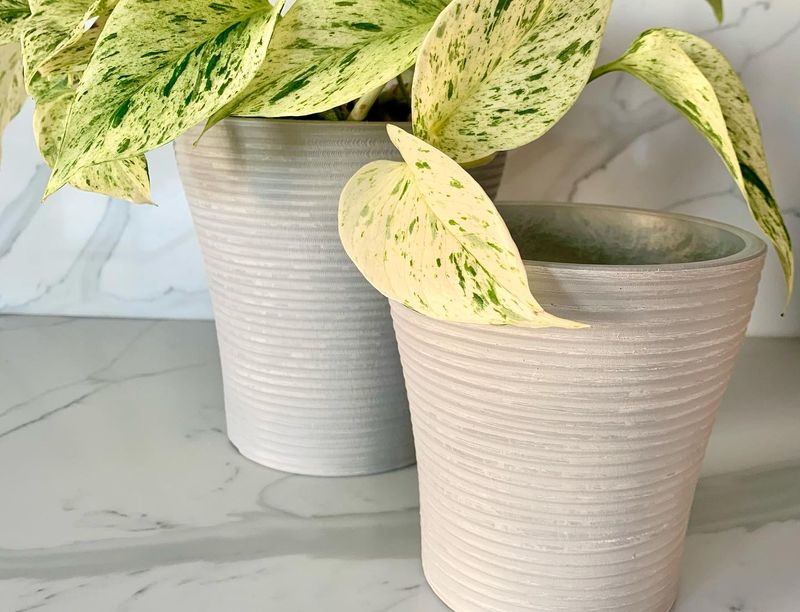 Clear Acrylic Planters