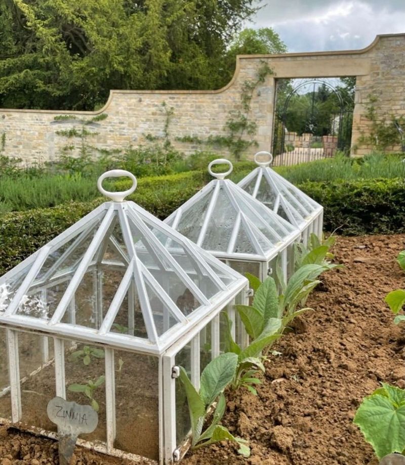 Cloche Gardening