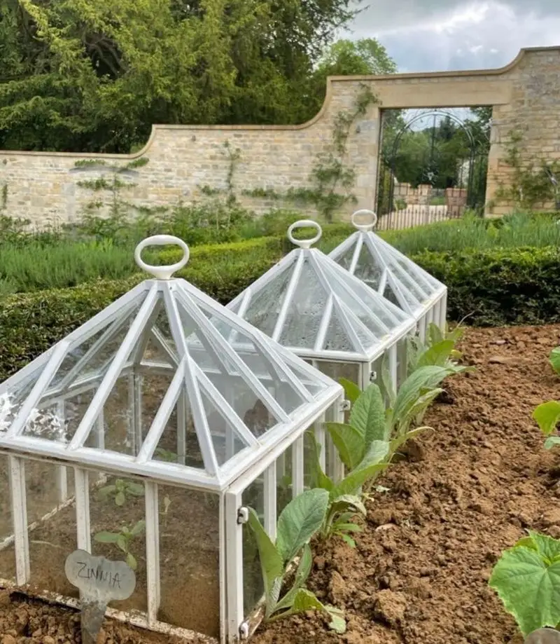 Cloche Gardening