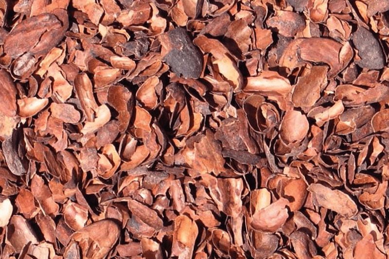 Cocoa Hulls