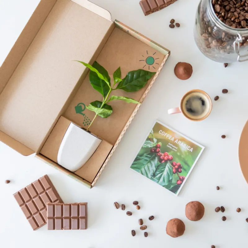 Coffea Plant