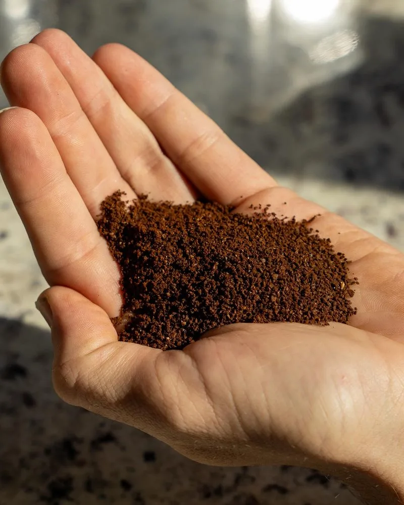 Coffee Grounds