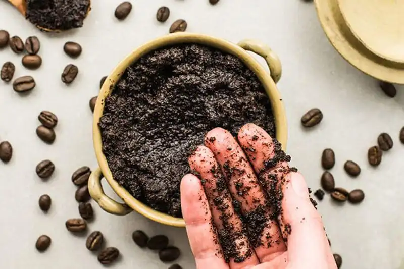 Coffee Grounds