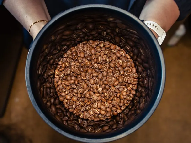 Coffee Grounds