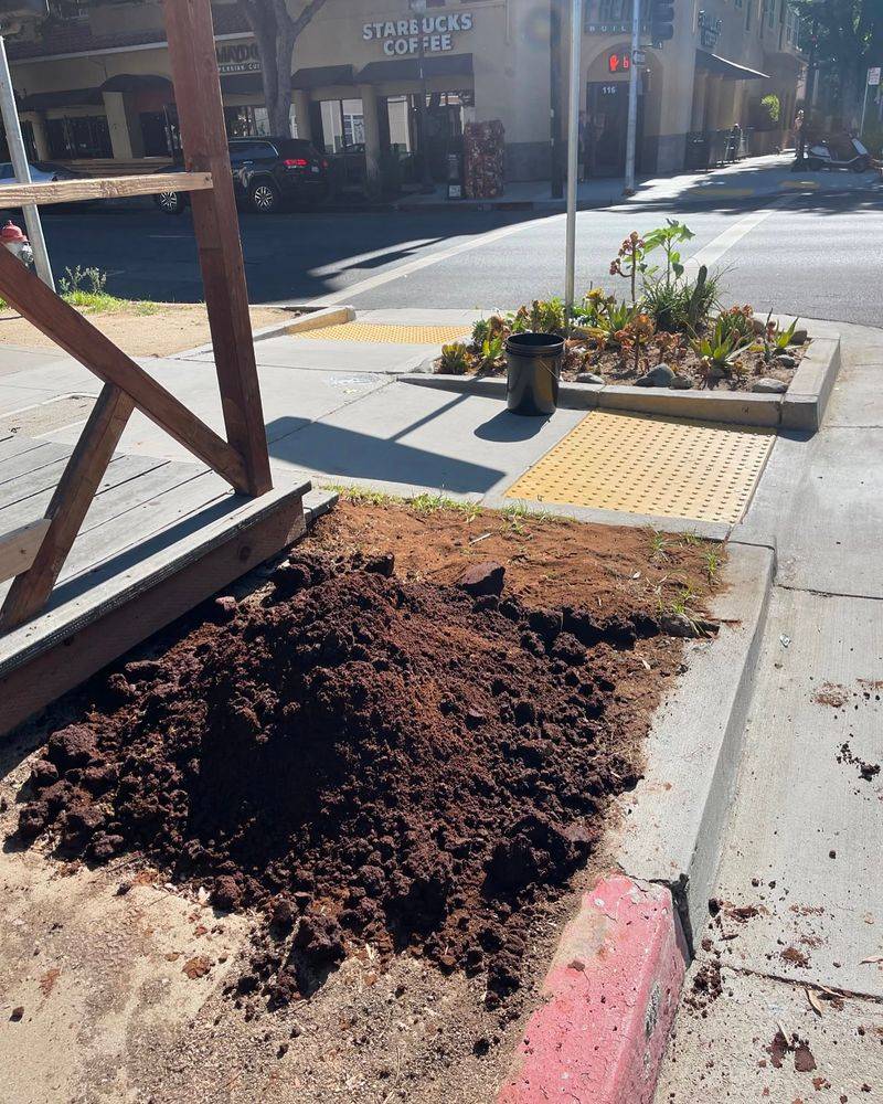 Coffee Grounds Mulch