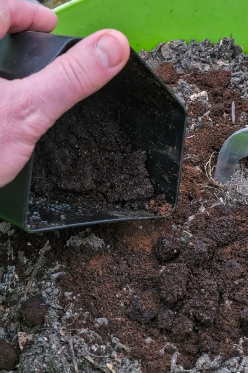 Coffee Grounds as Fertilizer