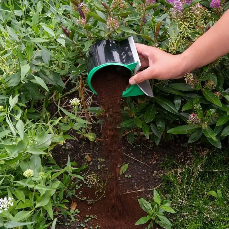 Coffee Grounds