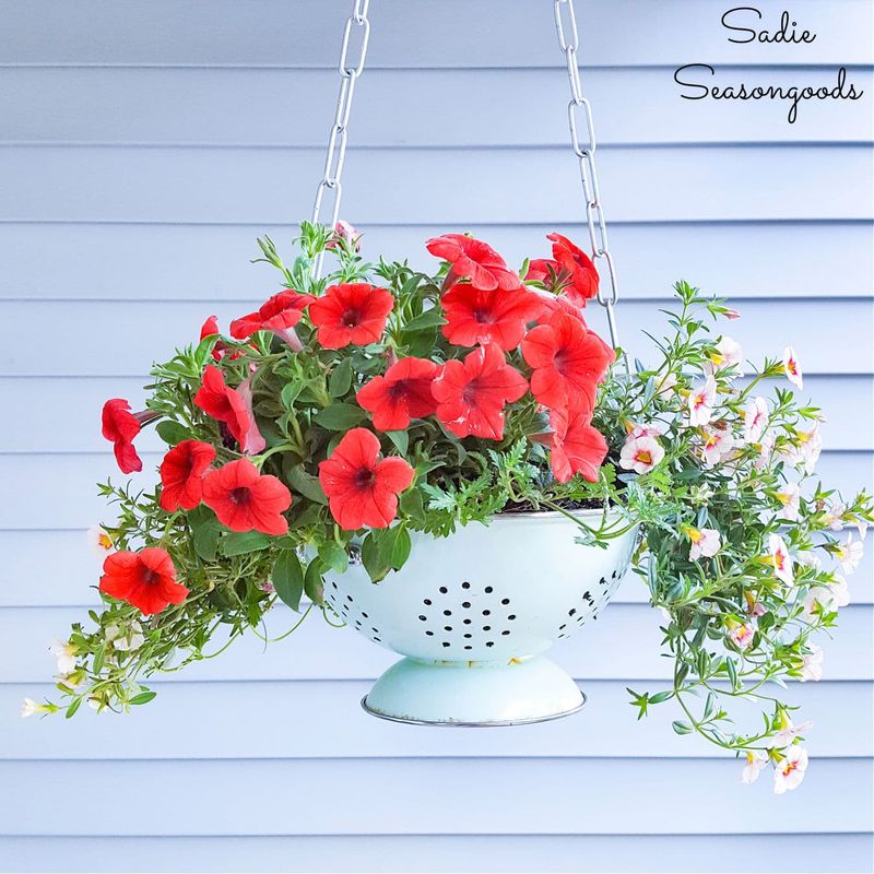 Colander Hanging Basket