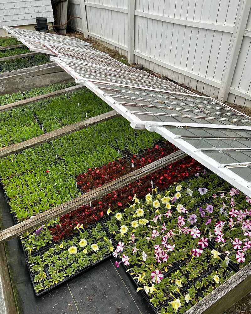 Cold Frames