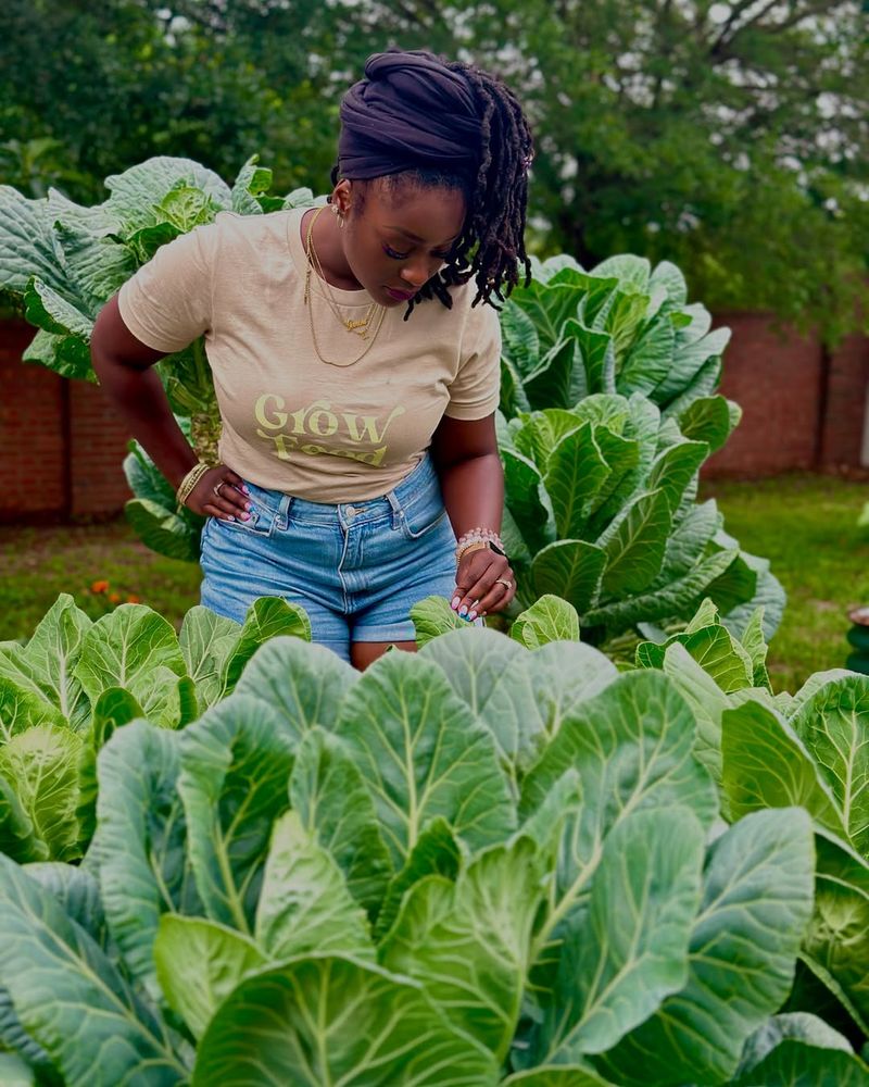 Collard Greens