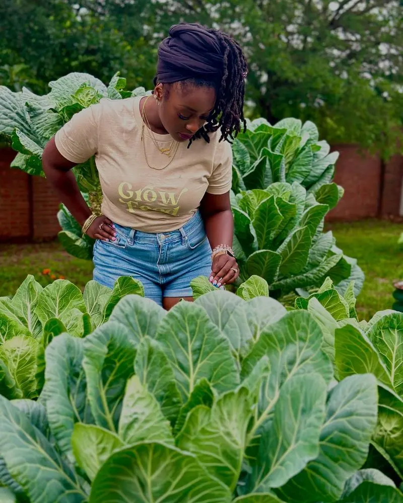 Collard Greens