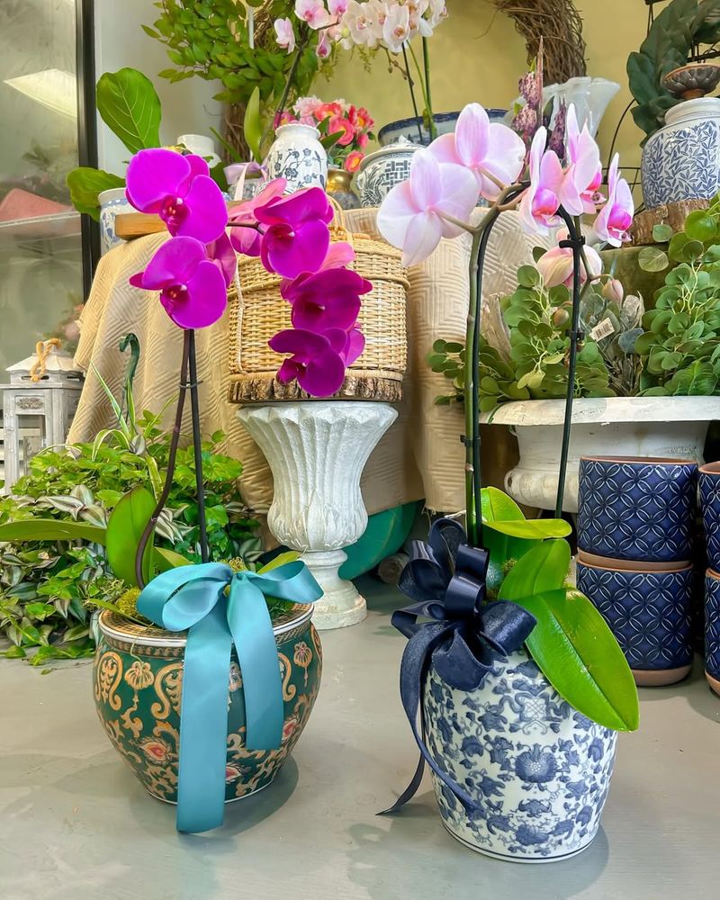 Colorful Ceramic Orchid Pot