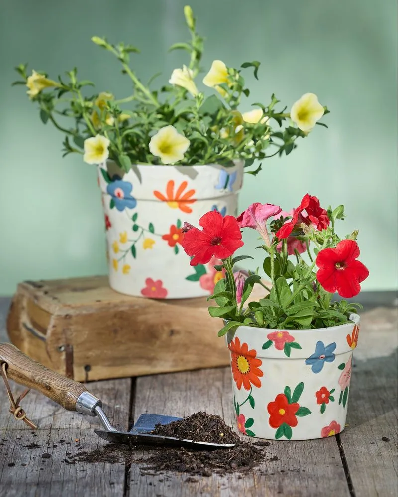 Colorful Ceramic Pots
