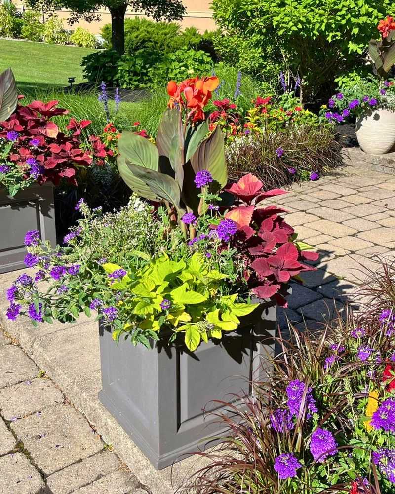 Colorful Container Mix
