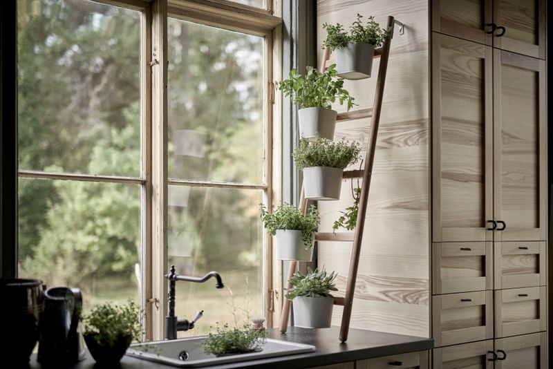 Indoor Herb Sanctuary