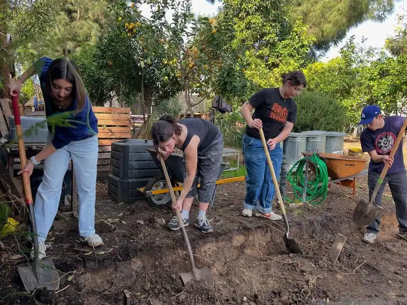Community Gardens