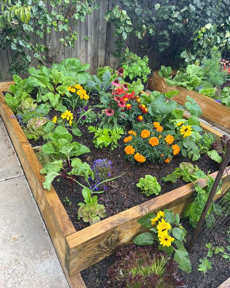 Companion Planting