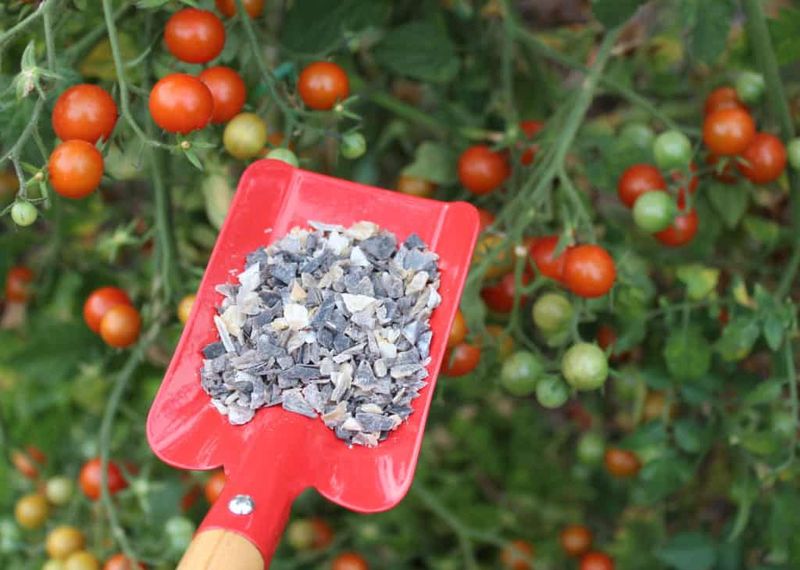 Fertilizer Application