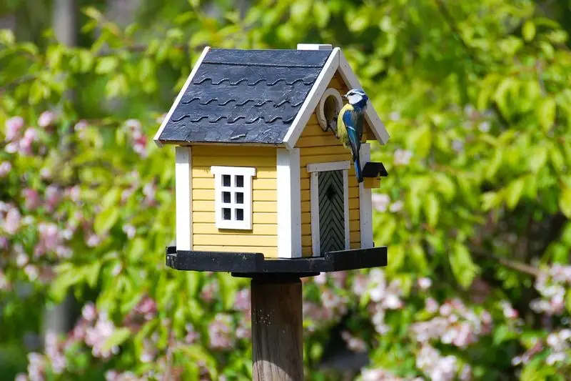 Birdhouses to Attract Natural Predators