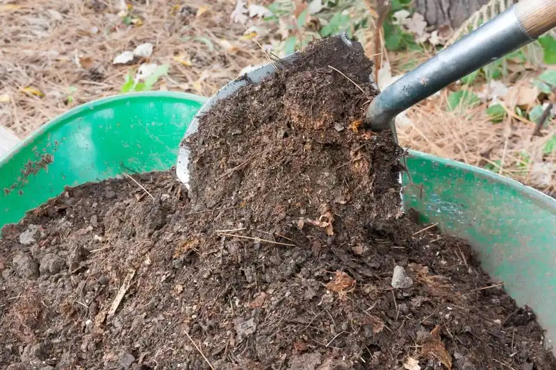 Compost