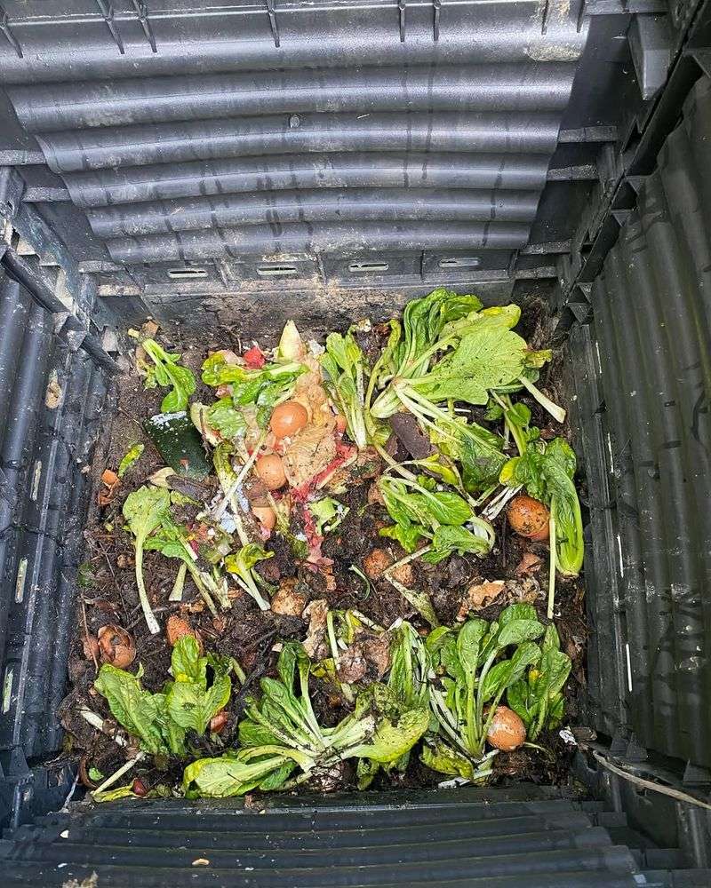 Compost Bin Shortcut