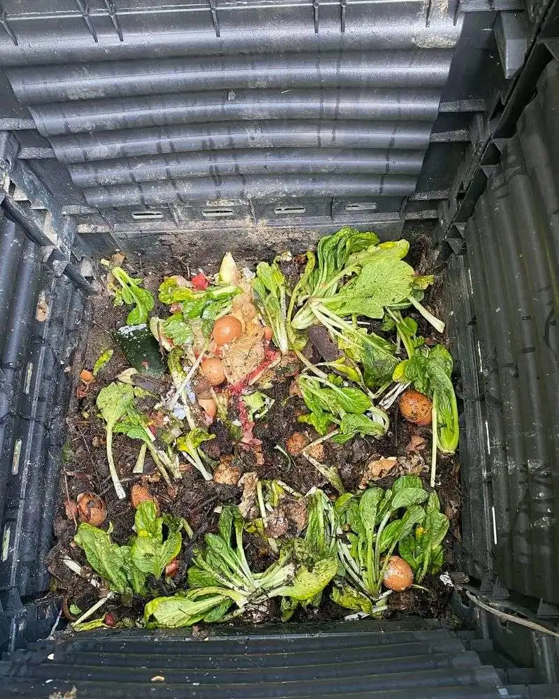 Compost Bin Shortcut