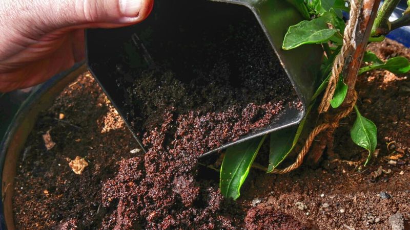 Compost Enhancer