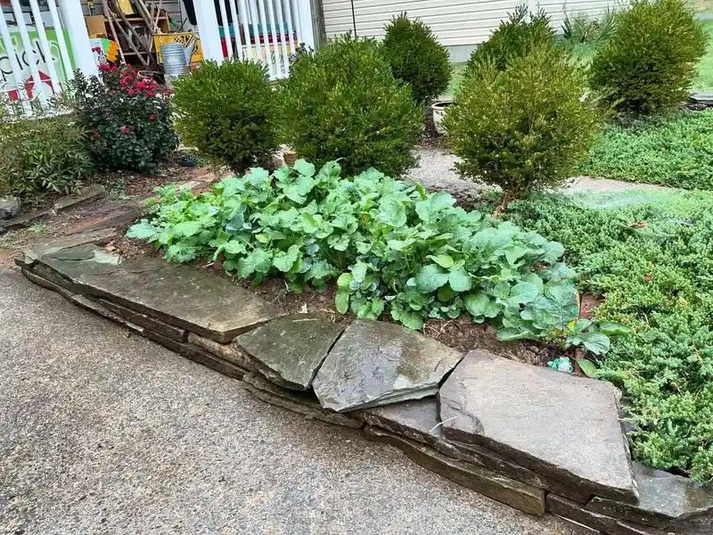 Compost Tea