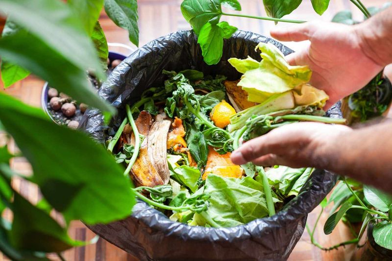 Compost Tea Brew