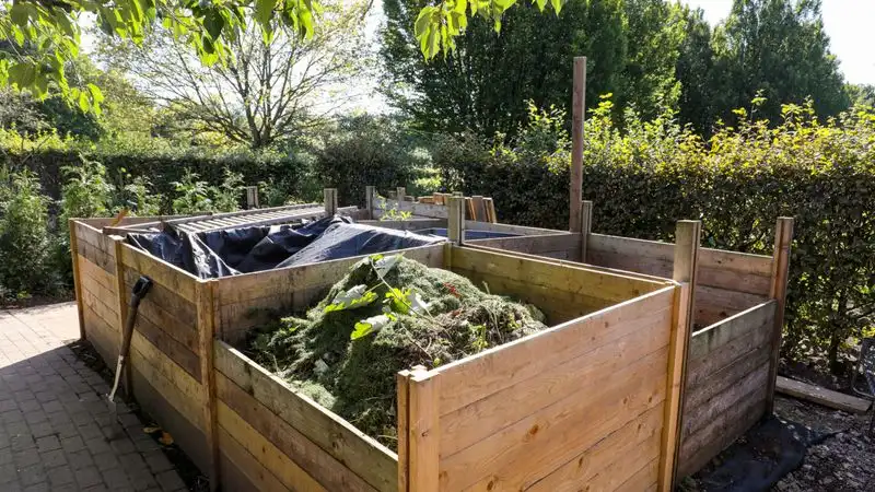 Compost: The Magic of Recycling