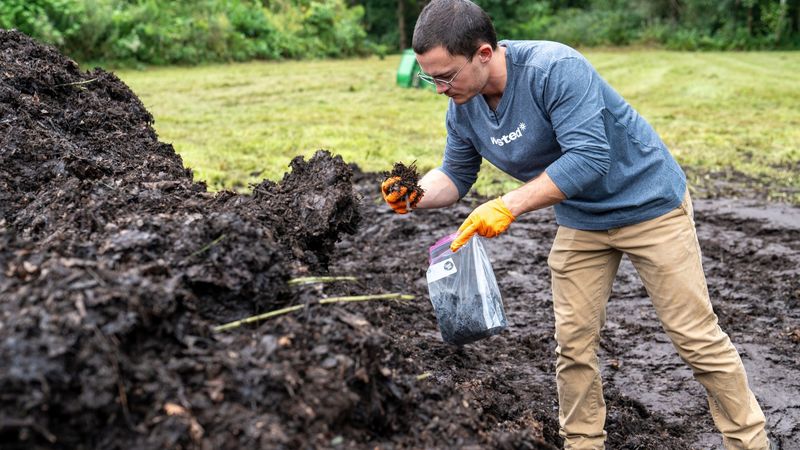 Compost