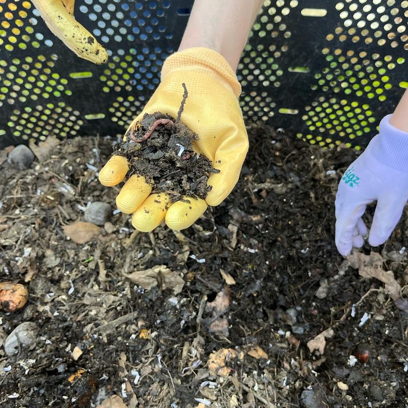 Composting Project